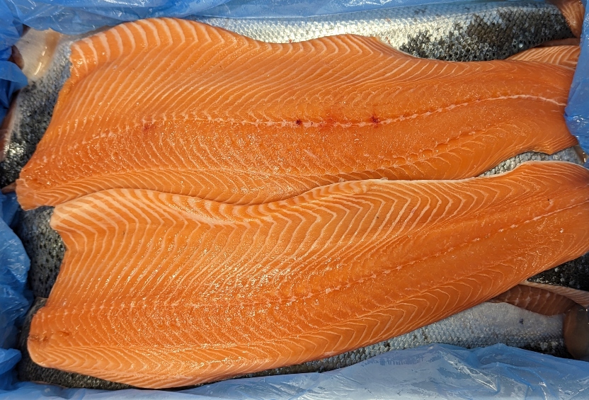 Farm Raised Atlantic Salmon